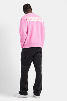 AmalfiGold Knitted Crew Neck Sweater - Pink