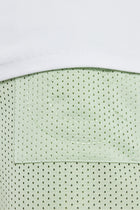 AmalfiGold Embroidered Mesh Short - Sage